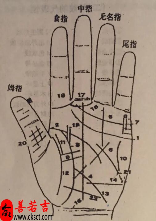 容易成为富人手相，天生容易暴富的手相