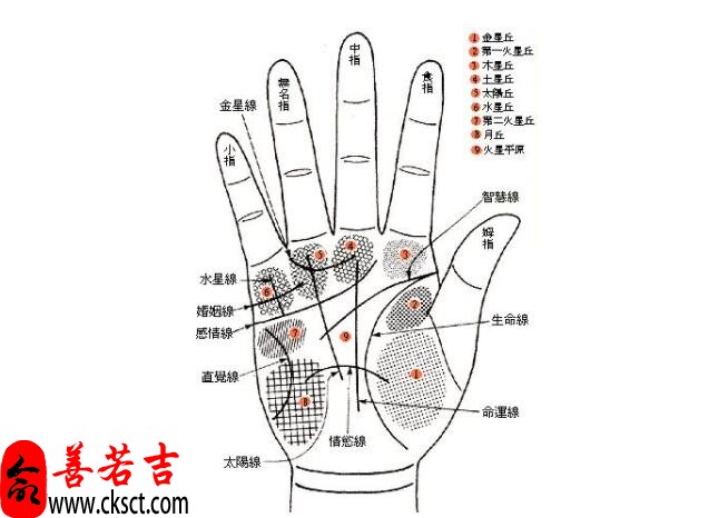 看手相查疾病绝招绝对实用